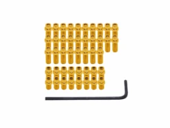 DMR Pin Kit Vault Or