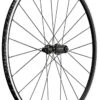Dt-swiss P 1800 Spline 23 Roue Arrière -Vélo Pièces Magasin P 1800 Rim HR 15MhmJ9sUm5i3U